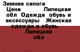 Зимние сапоги “Tervolina“ › Цена ­ 3 500 - Липецкая обл. Одежда, обувь и аксессуары » Женская одежда и обувь   . Липецкая обл.